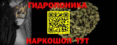 ПСИЛОЦИБИНОВЫЕ ГРИБЫ Нальчик