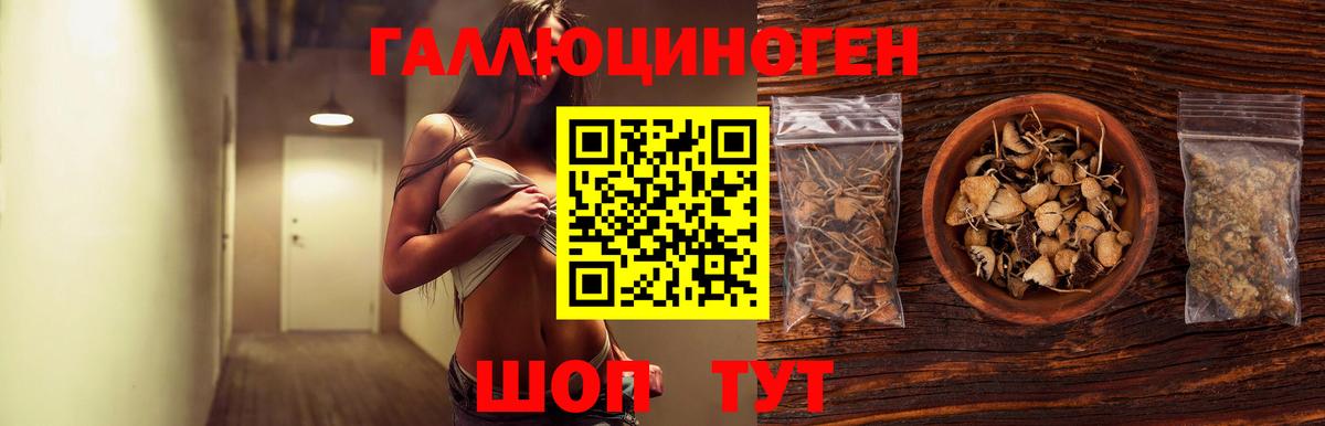 Псилоцибиновые грибы Psilocybine cubensis  Вход с VPN  Галлюциногенные грибы мицелий  Дербент 