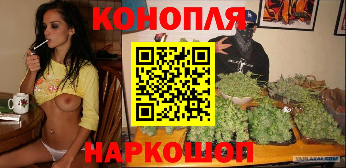 Конопля план  Канабис сатива  Вход с VPN  Дербент  Каннабис OG Kush 